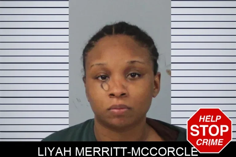 Liyah Merritt-McCorcle mugshot – Mcintosh County , Georgia Liyah Merritt-McCorcle