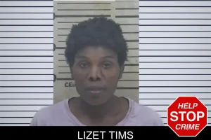 Lizet Tims mugshot