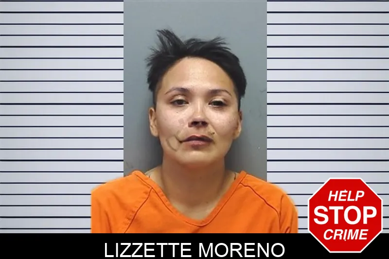 Lizzette Moreno mugshot – Cherokee County , Georgia Lizzette Moreno mugshot