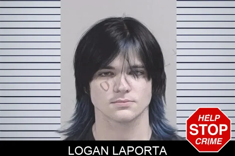 Logan Laporta mugshot – Lowndes County , Georgia Logan Laporta