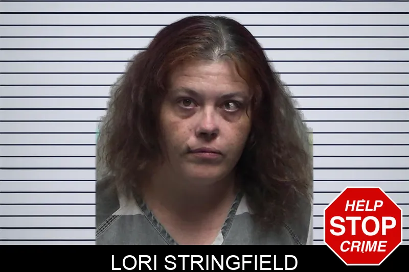 Lori Stringfield Mugshots