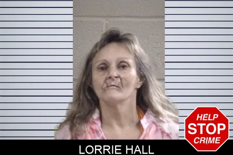Lorrie Hall