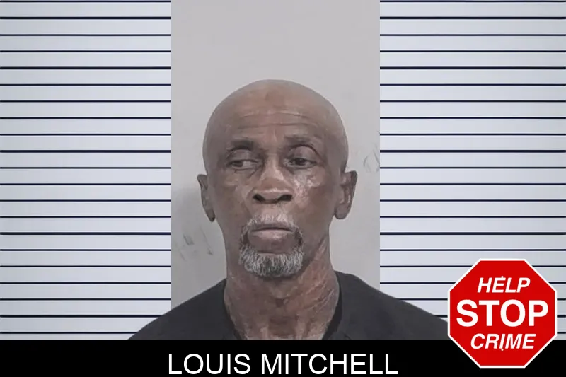 Louis Mitchell mugshot – Lowndes County , Georgia Louis Mitchell mugshot