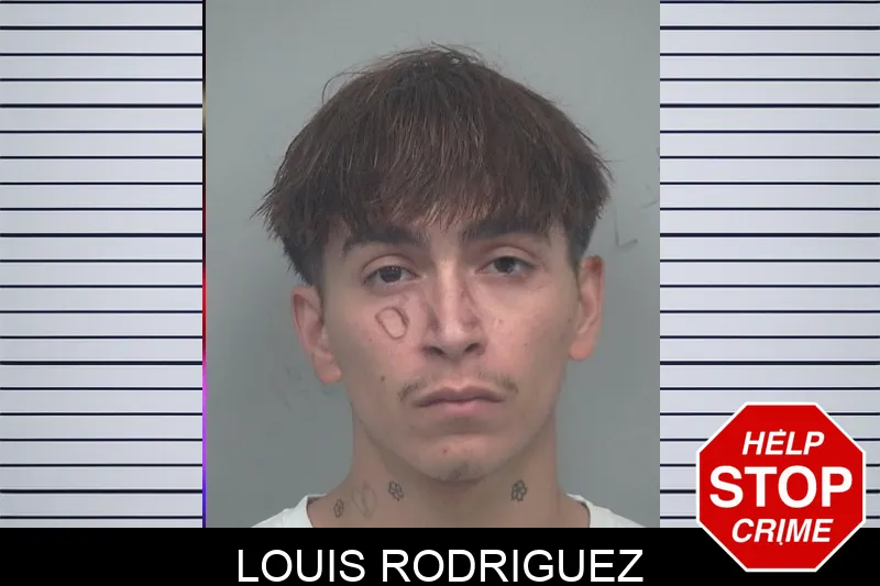 Louis Rodriguez mugshot – Gwinnett County , Georgia Louis Rodriguez mugshot