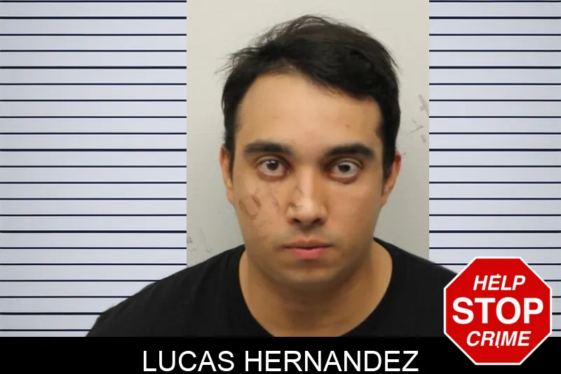 Lucas Hernandez mugshot