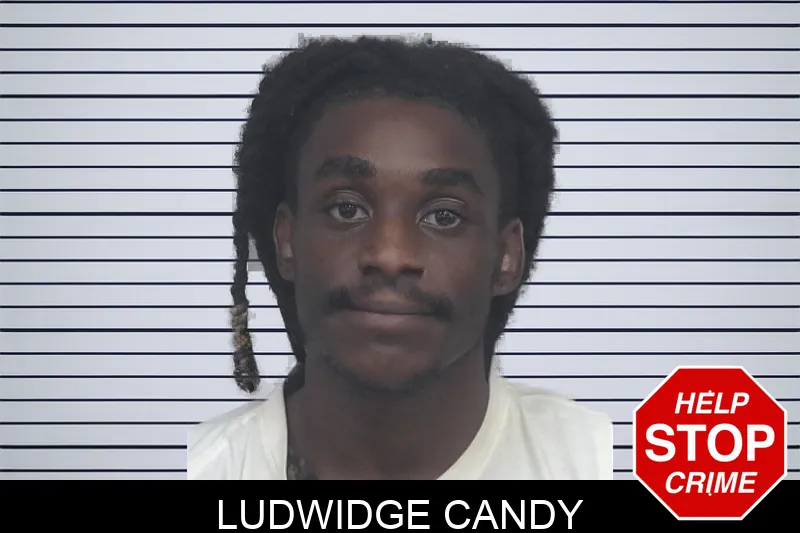Ludwidge Candy Mugshots