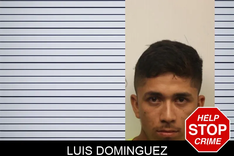Luis Dominguez mugshot – Chatham County , Georgia Luis Dominguez mugshot