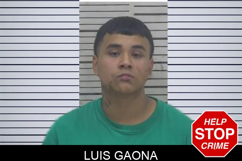 Luis Gaona Mugshots