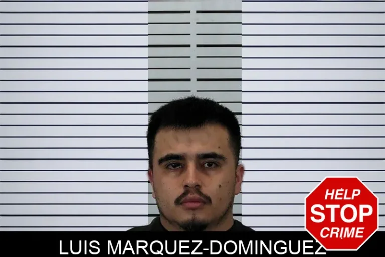 Luis Marquez-Dominguez