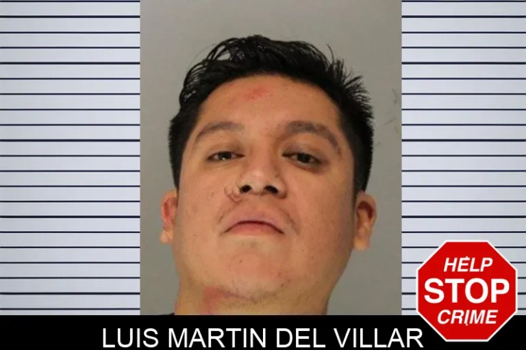 Luis Martin Del Villar