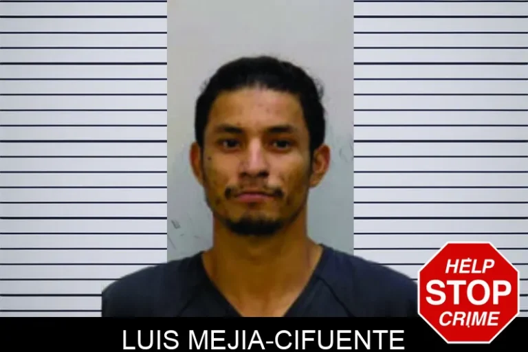 Luis Mejia-Cifuente