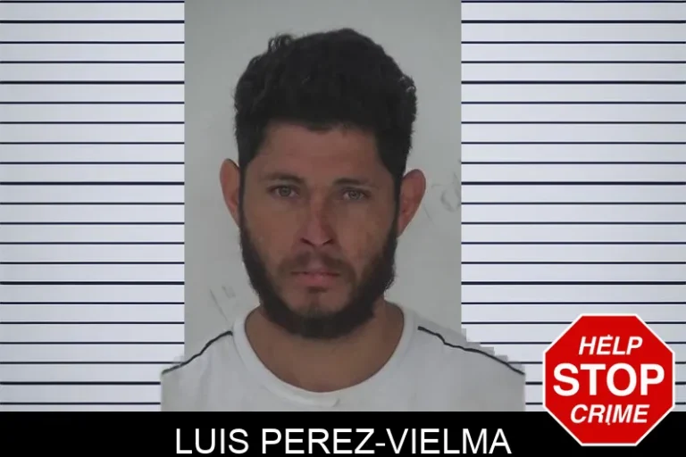 Luis Perez-Vielma