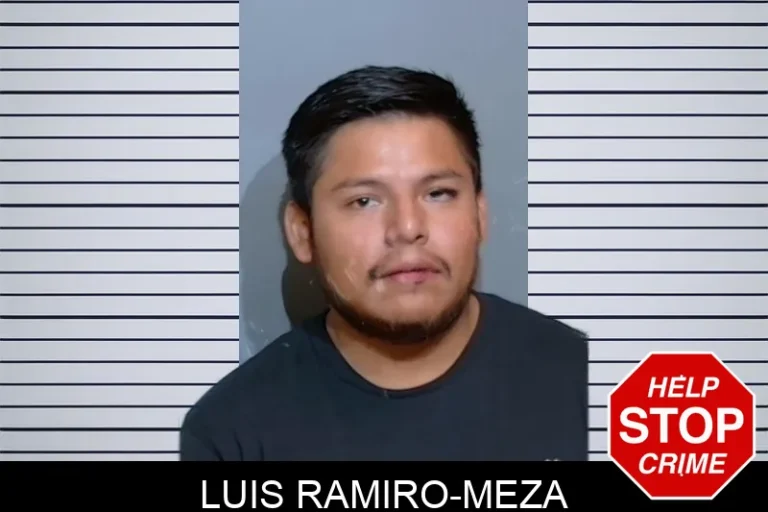Luis Ramiro-Meza