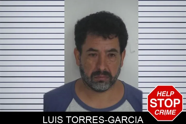 Luis Torres-Garcia