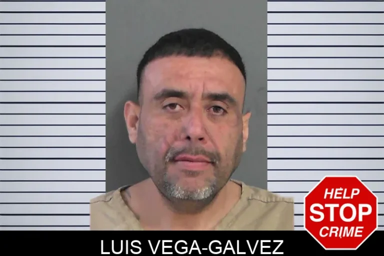 Luis Vega-Galvez