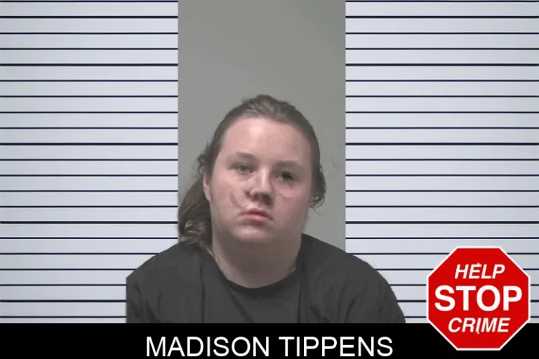 Madison Tippens
