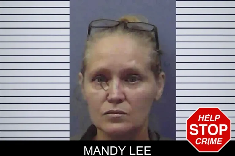Mandy Lee