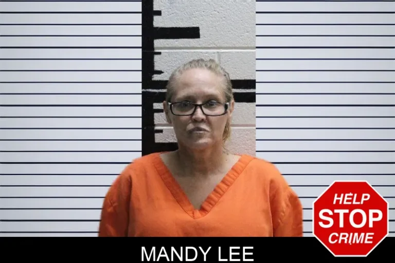 Mandy Lee mugshot – Murray County , Georgia Mandy Lee