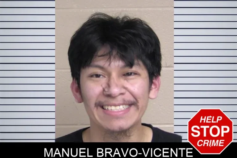 Manuel Bravo-Vicente