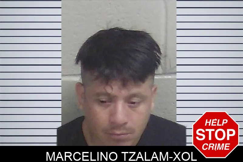 Marcelino Tzalam-Xol Mugshots