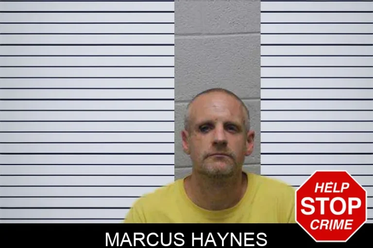 Marcus Haynes