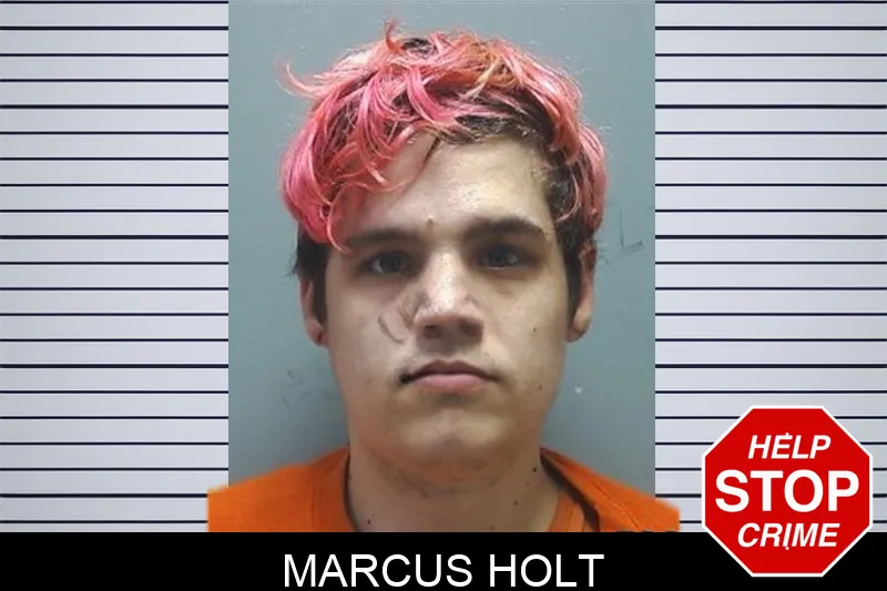 Marcus Holt Mugshots