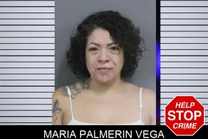 Maria Palmerin Vega mugshot