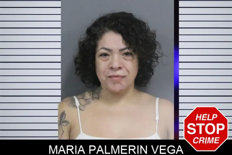 Maria Palmerin Vega