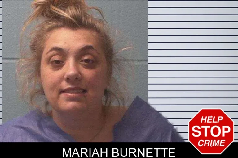 Mariah Burnette mugshot – Franklin County , Georgia Mariah Burnette