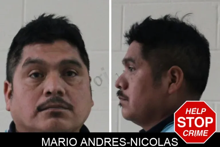 Mario Andres-Nicolas