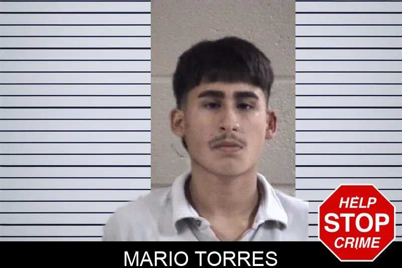 Mario Torres Mugshots