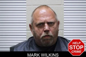 Mark Wilkins mugshot