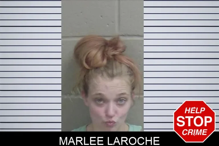 Marlee Laroche mugshot – Wayne County , Georgia Marlee Laroche