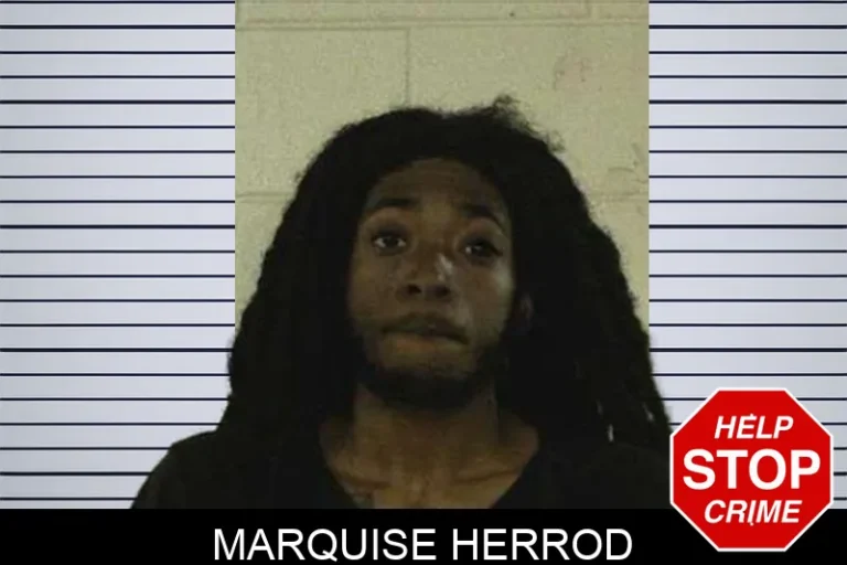 Marquise Herrod