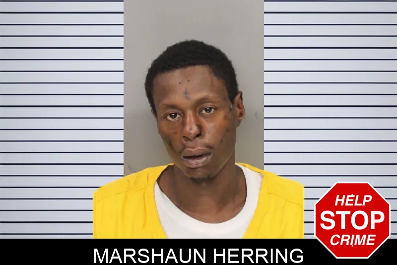 Marshaun Herring mugshot