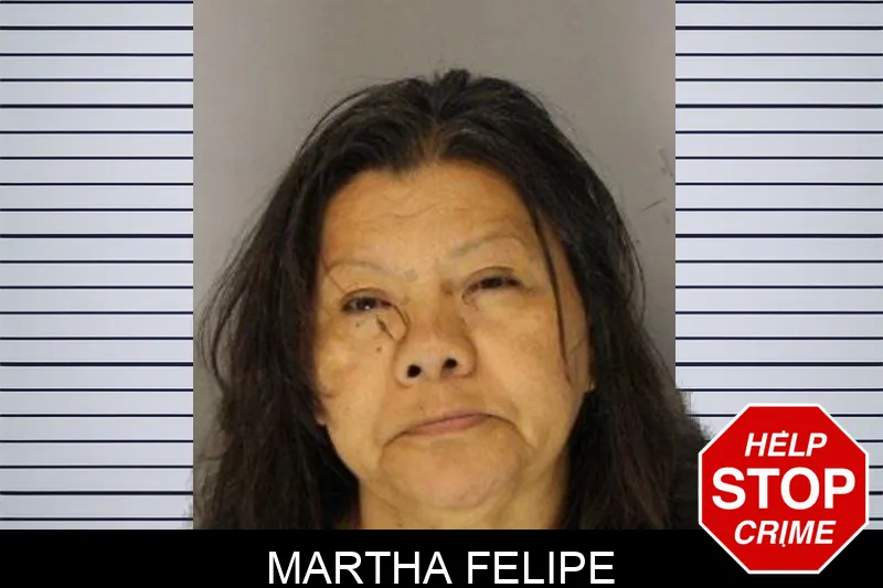 Martha Felipe Mugshots