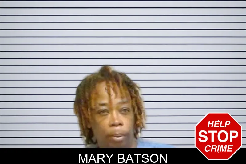 Mary Batson Mugshots