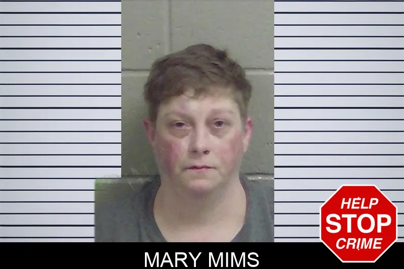 Mary Mims Mugshots