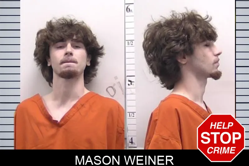 Mason Weiner Mugshots