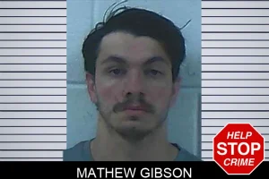 Mathew Gibson mugshot