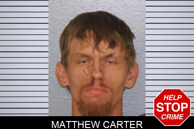Matthew Carter Mugshots