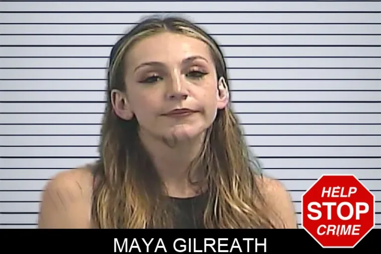 Maya Gilreath mugshot – Dawson County , Georgia Maya Gilreath