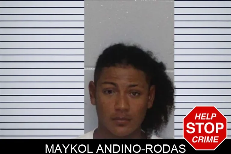 Maykol Andino-Rodas