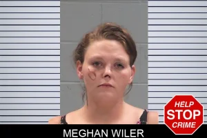 Meghan Wiler mugshot