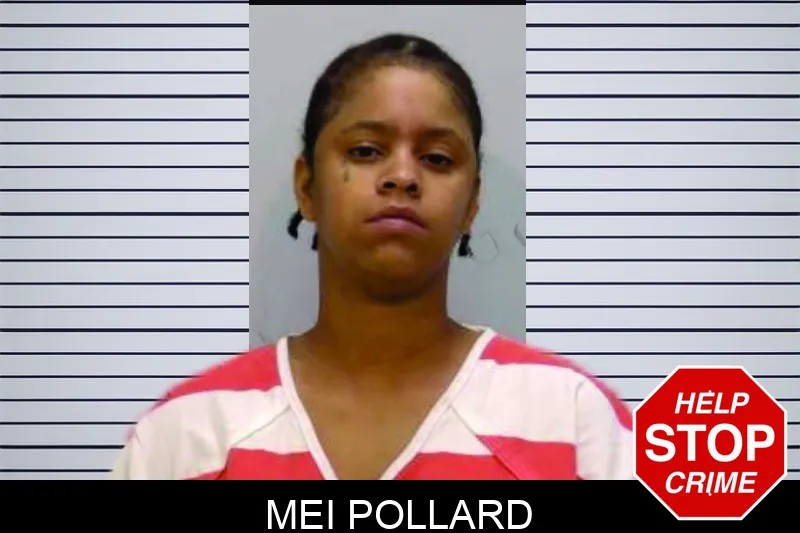 Mei Pollard mugshot – Bartow County , Georgia Mei Pollard mugshot