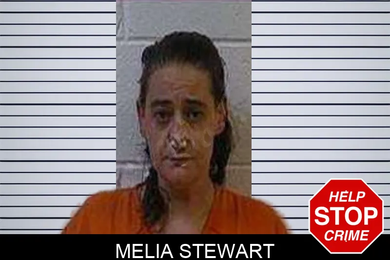 Melia Stewart Mugshots