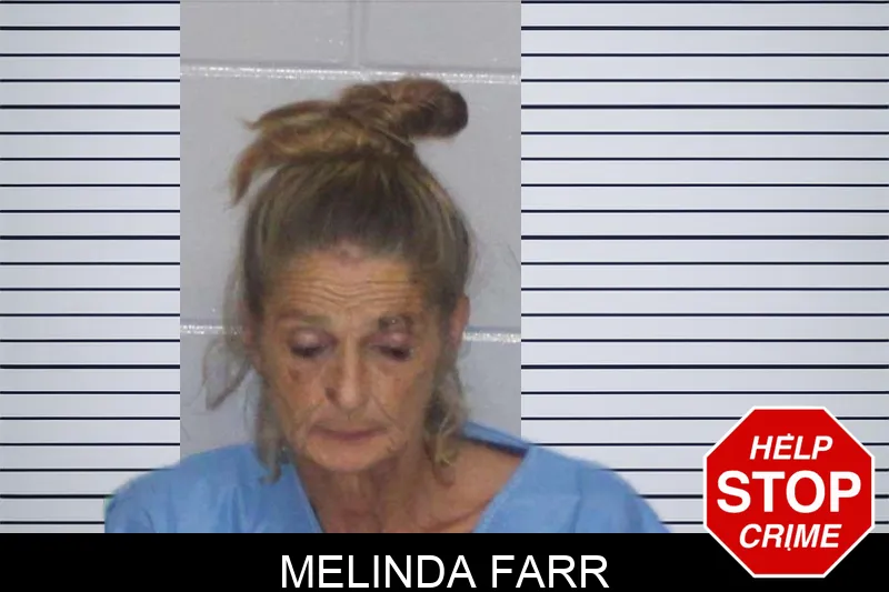 Melinda Farr Mugshots