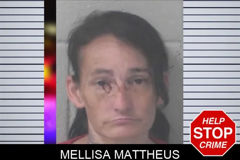 Mellisa Mattheus mugshot – Newton County , Georgia Mellisa Mattheus