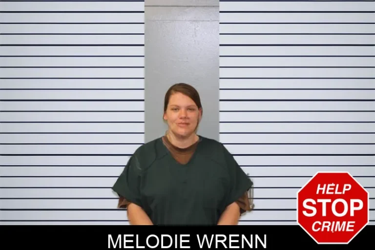 Melodie Wrenn mugshot – Mcintosh County , Georgia Melodie Wrenn