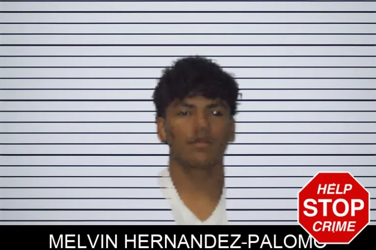 Melvin Hernandez-Palomo